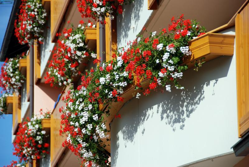 Residence Antares Andalo Bagian luar foto